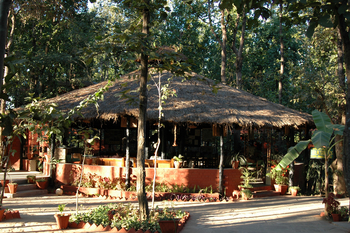 Kanha Jungle Lodge: Mitte des Geländes