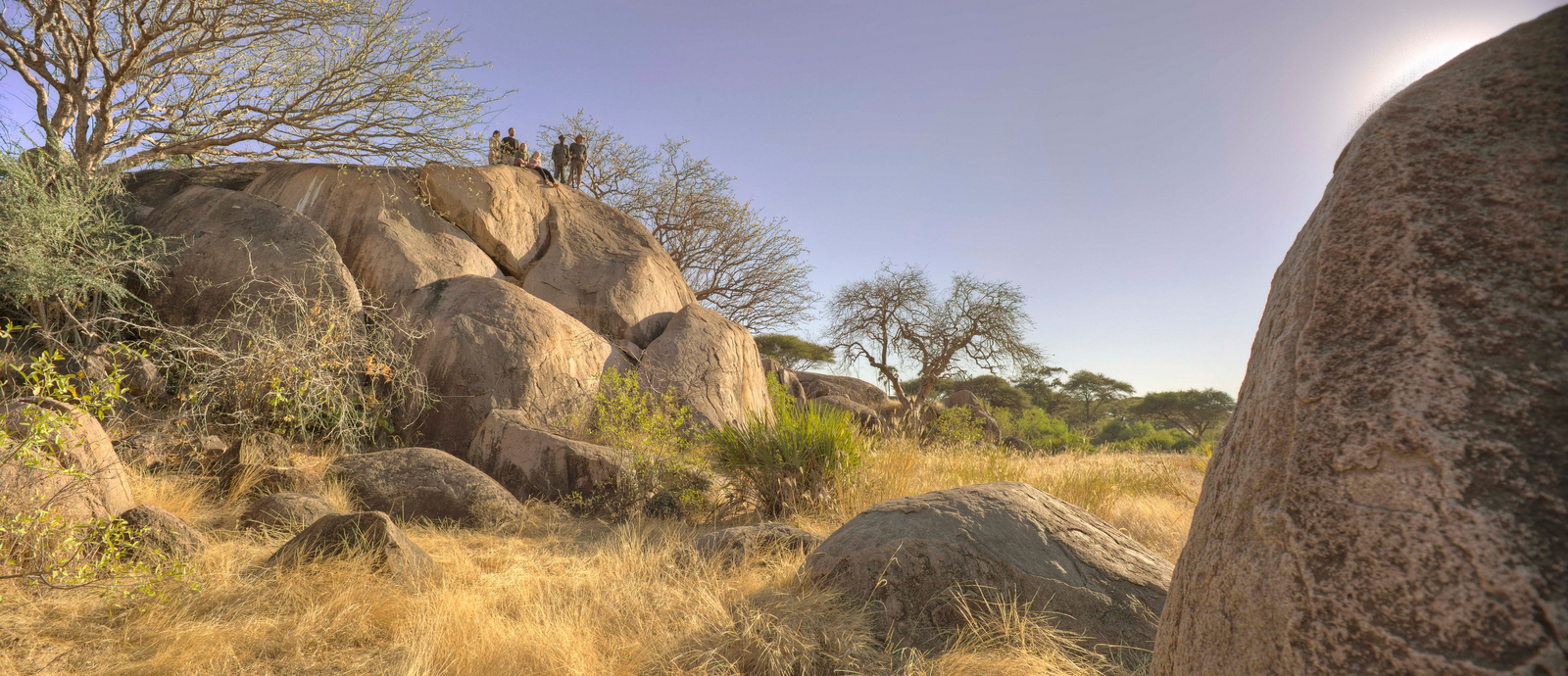 Kichaka Zumbua Camp Kichaka Zumbua Camp: Kopjes