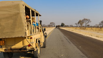 Lianshulu Lodge Lianshulu Lodge: Elefant auf den Transcaprivi-Highway