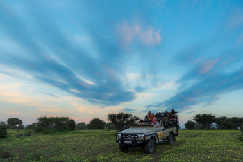 Mashatu Game Reserve: Game Drive durch Devil's Thorn