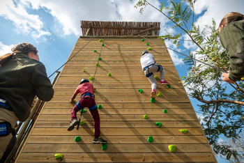 Riverdene Family Lodge: Kletterwand