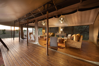 Saruni Wild: Hauptbereich