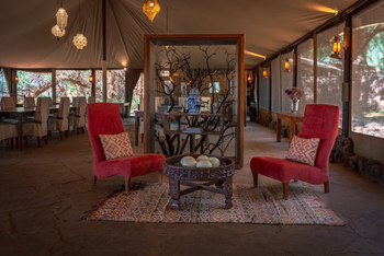 Soroi Larsens Tented Camp: Designersessel