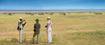 andBeyond Lake Manyara Tree Lodge: Walking Safari