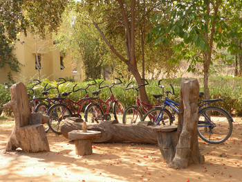 Bandhavgarh Jungle Lodge: Fahrräder für Exkursionen