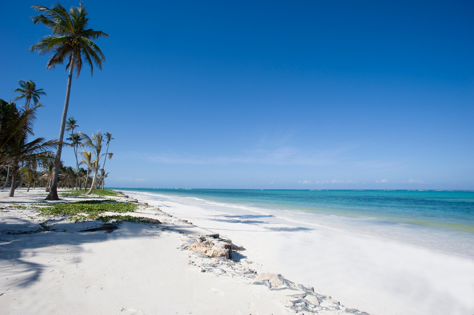 Baraza Resort and Spa Baraza Resort and Spa: Pristine Bwejuu Strand