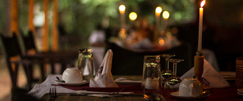 Budongo Eco Lodge: Dinner