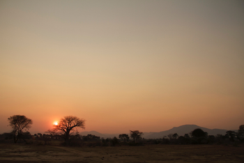 Classic Zambia Safaris Classic Zambia Safaris: Landschaft