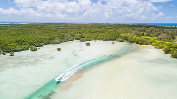 Cosmoledo Eco Camp: Ausflug zu den Mangroven