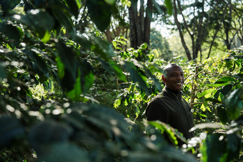Gibb's Farm: Guide im Außenbereich