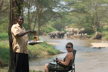 Ishasha Wilderness Camp: Elefanten im Fluss