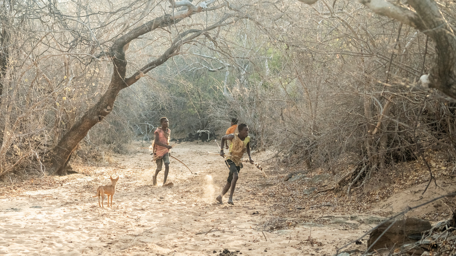 Kisima Ngeda Camp Kisima Ngeda Camp: Hadzabe-Jagd