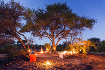 Leroo La Tau Lodge: Bush Dinner