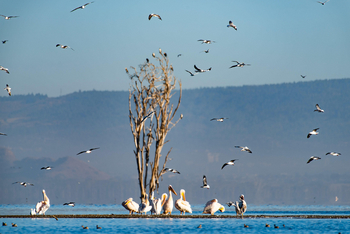 Loldia House: Lake Nakuru
