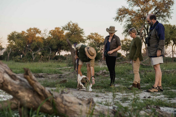 Mogotlho Safari Lodge Mogotlho Safari Lodge: Walking Safari