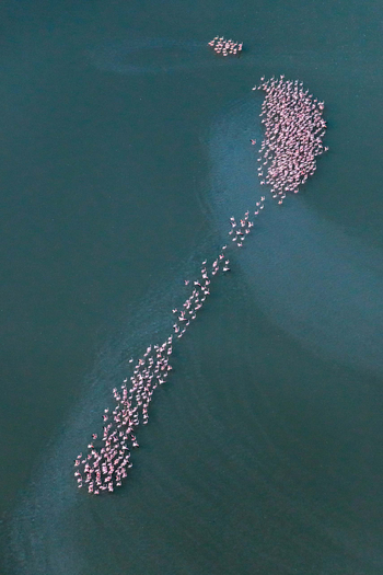 Camp Kalahari Camp Kalahari: Flamingogruppen