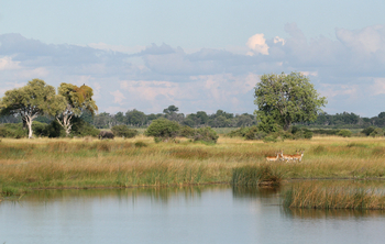 Nkasa Lupala Tented Lodge: Rote Moorantilopen