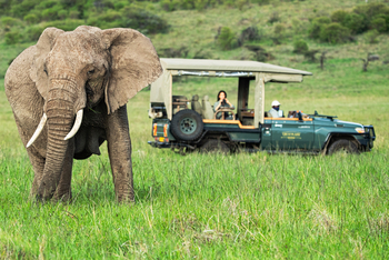 Ol Donyo Lodge: Game Drive