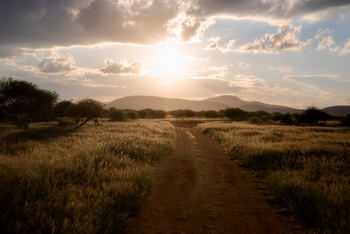 Old Traders Lodge: Landschaft