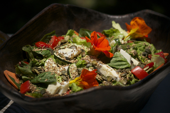 Richard's River Camp: Küche