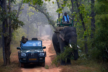 Samode Safari Lodge Samode Safari Lodge: Elefantensafari