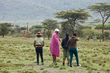 Saruni Mara Camp: Walking Safari