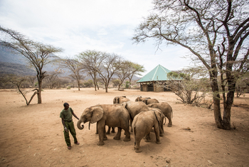 Saruni Samburu: Reteti Elephan Sanctuary