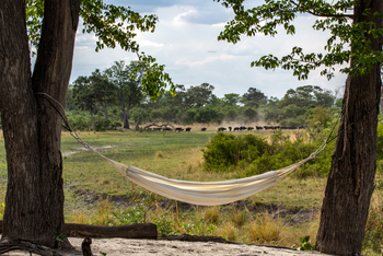Selinda Explorers Camp Selinda Explorers Camp: Hängematte