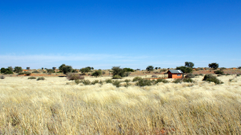 Bagatelle Kalahari Game Ranch: Campingplatz