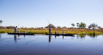 Gunn's Camp: Zwei Mekoro