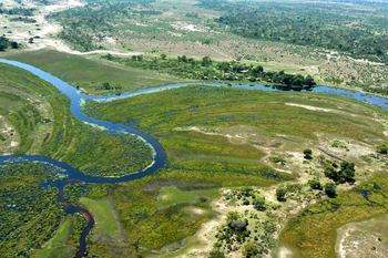 Lagoon Camp Lagoon Camp: Luftbild - Kwando River und Lagunenabzweig