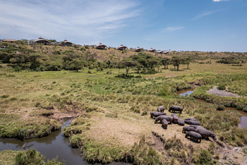 Mahali Mzuri: Hippos unterhalb vom Camp