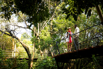 Mara Toto Tree Camp: Bird Walk
