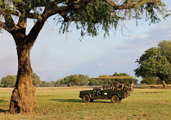 Mfuwe Lodge: Game Drive