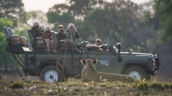 Ntemwa Busanga Bushcamp Ntemwa Busanga Bushcamp: Ruhende Löwin