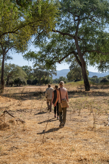 Nyamatusi Camp Nyamatusi Camp: Wanderung