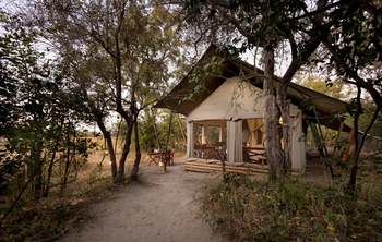 Okavango Explorers Camp Okavango Explorers Camp: Gästezelt im Galeriewald