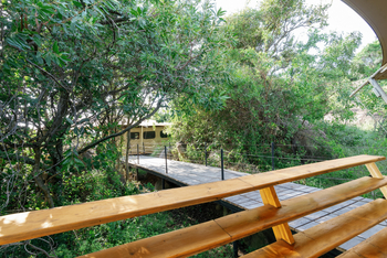Serengeti Bushtops: Family Tent