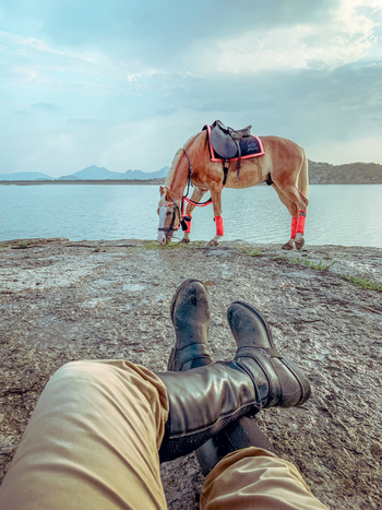 Sujan Jawai: Pferd und Reiter