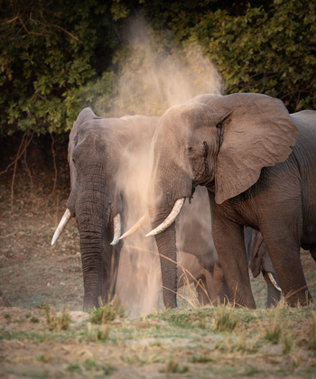 Sungani Lodge Sungani Lodge: Staubbad