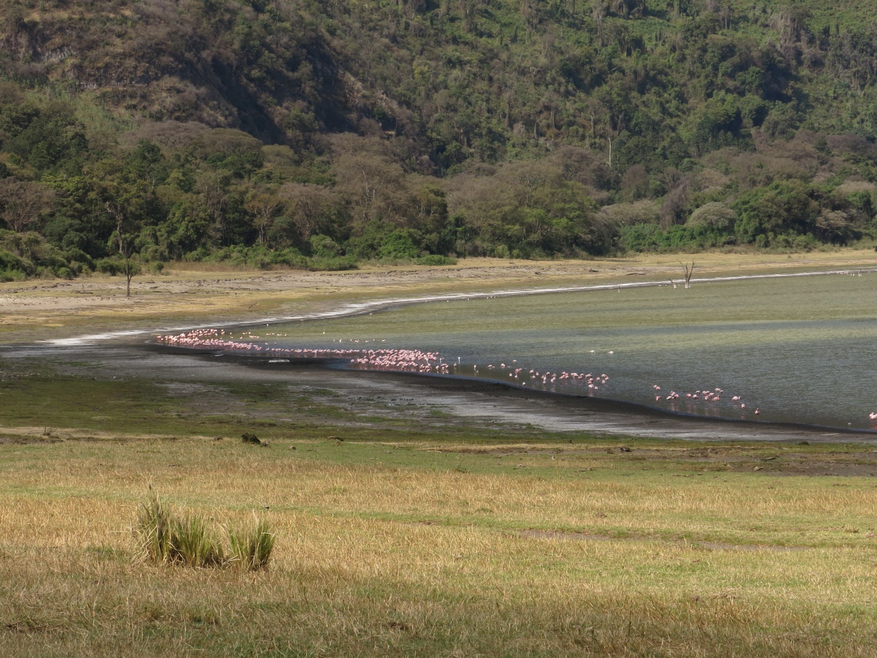 Lake Natron Camp Lake Natron Camp