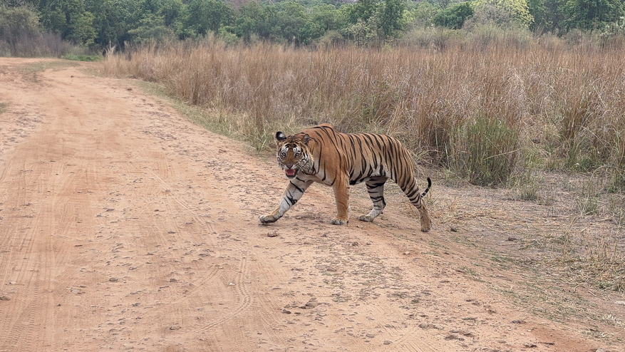 The Oberoi Vindhyavilas Wildlife Resort