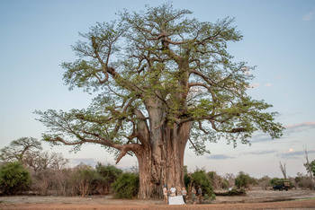 Time + Tide South Luangwa Time + Tide South Luangwa: Sundowner