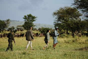 Wilderness Usawa Serengeti Camp: Walking Safari
