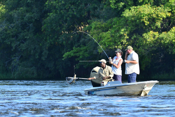 Zambezi Queen Zambezi Queen: Tigerfisch im Netz gefangen