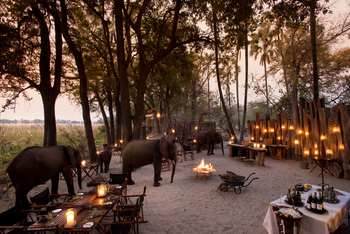 andBeyond Sandibe Okavango Safari Lodge: Elefanten zu Besuch