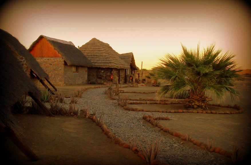 Mesosaurus Fossil Camp