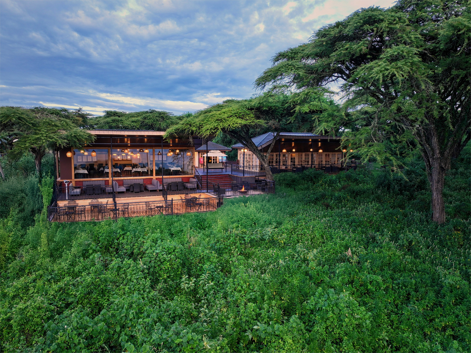 Ngorongoro Lion's Paw Ngorongoro Lion's Paw: Zentralbereich
