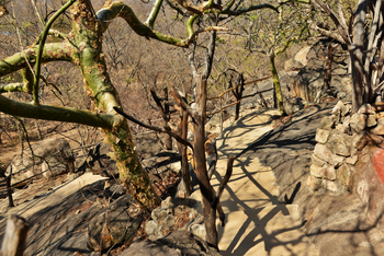 Amalinda Lodge: Room 7