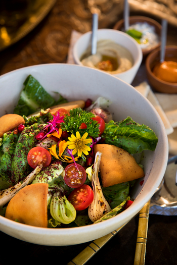 Aramness Aramness: Salat aus dem Edible Garden